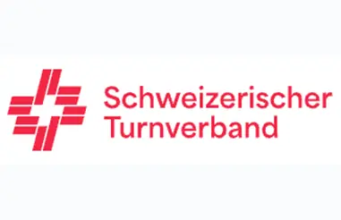 Logo STV 381x246px